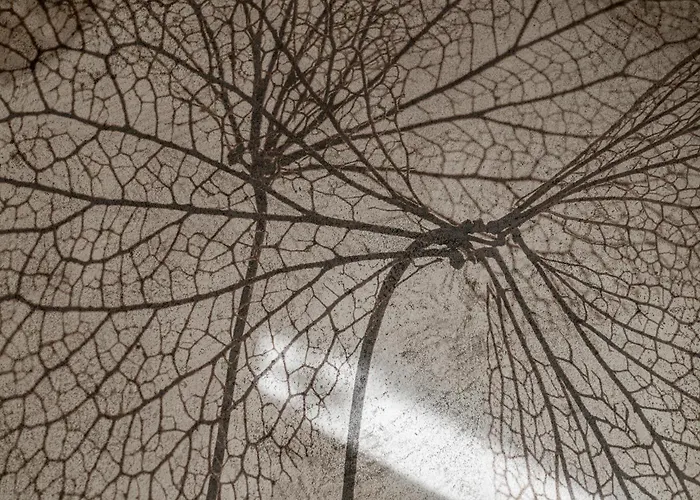 Alpenkristall Apartamento