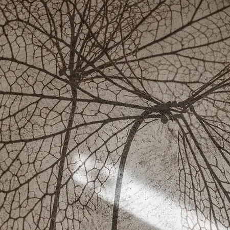 Alpenkristall Appartamento