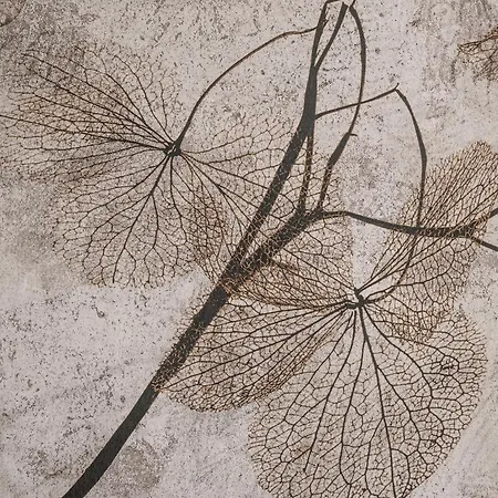 Appartamento Alpenkristall Zell am Ziller