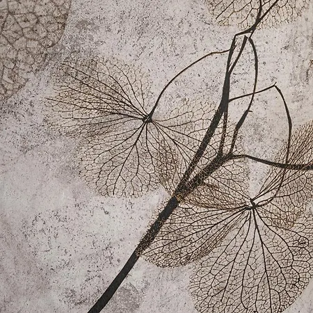 Alpenkristall Zell am Ziller